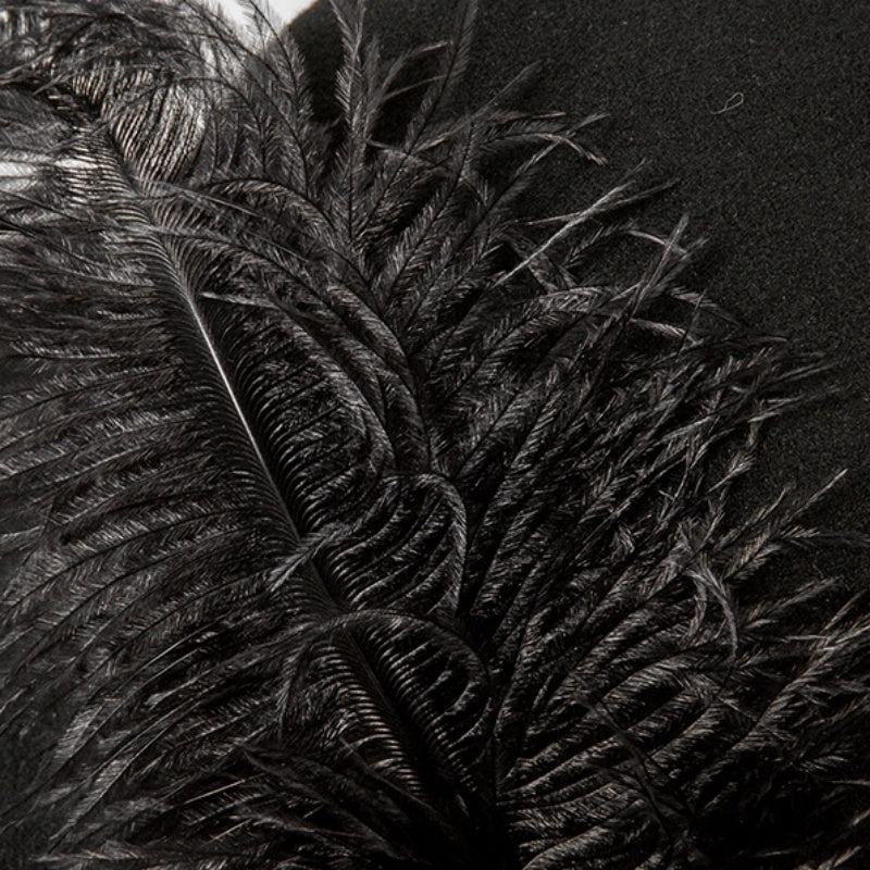 Felt Top Hat with Webbing and Feather